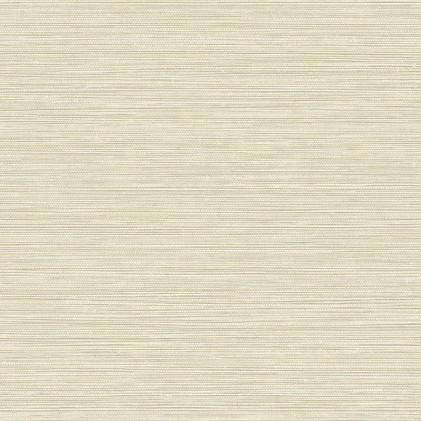 Samples and Purchasing available for Gravel Path - Flax Beige By Kravet Design | Performance Trim Indoor/Outdoor |  Trim Indoor / Outdoor at Designer Wallcoverings and Fabrics
