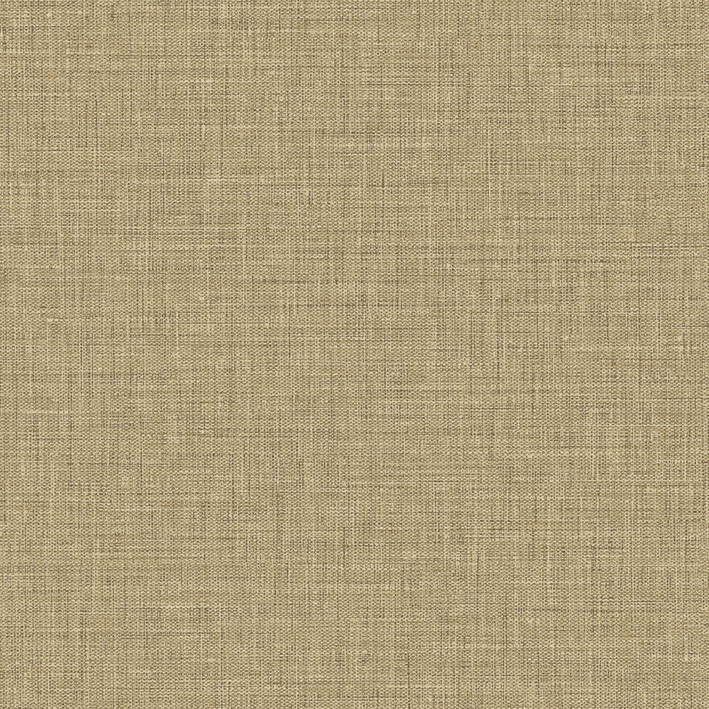 Samples and Purchasing available for Gravel Path - Flax Beige By Kravet Design | Performance Trim Indoor/Outdoor |  Trim Indoor / Outdoor at Designer Wallcoverings and Fabrics