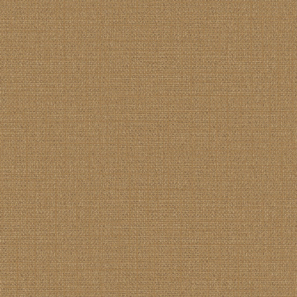 Samples and Purchasing available for Gravel Path - Flax Beige By Kravet Design | Performance Trim Indoor/Outdoor |  Trim Indoor / Outdoor at Designer Wallcoverings and Fabrics