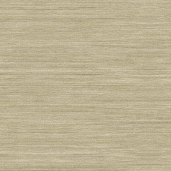 Samples and Purchasing available for Gravel Path - Flax Beige By Kravet Design | Performance Trim Indoor/Outdoor |  Trim Indoor / Outdoor at Designer Wallcoverings and Fabrics