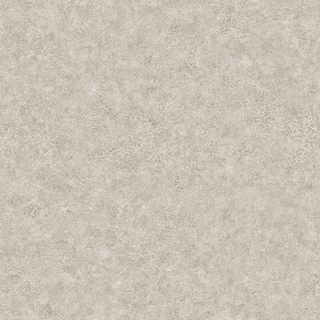 Samples and Purchasing available for Gravel Path - Flax Beige By Kravet Design | Performance Trim Indoor/Outdoor |  Trim Indoor / Outdoor at Designer Wallcoverings and Fabrics