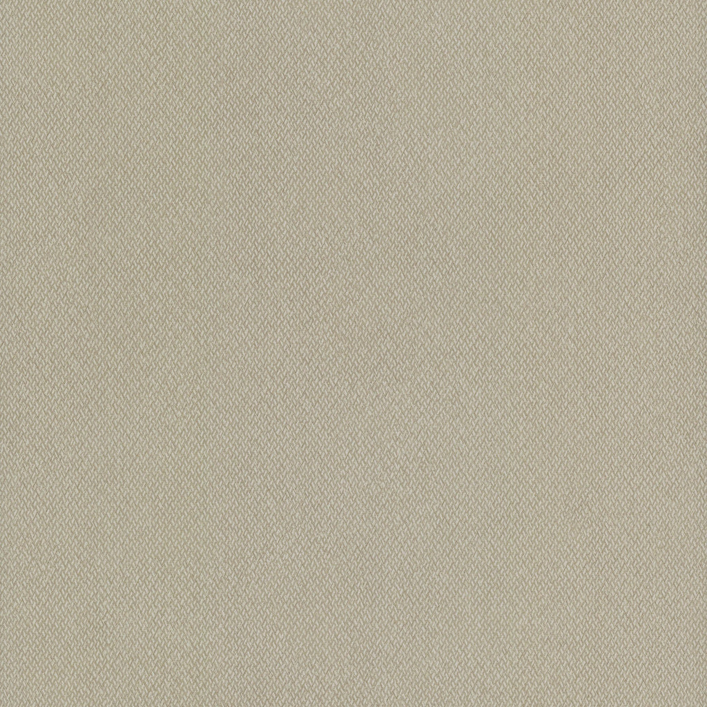 Samples and Purchasing available for Gravel Path - Flax Beige By Kravet Design | Performance Trim Indoor/Outdoor |  Trim Indoor / Outdoor at Designer Wallcoverings and Fabrics