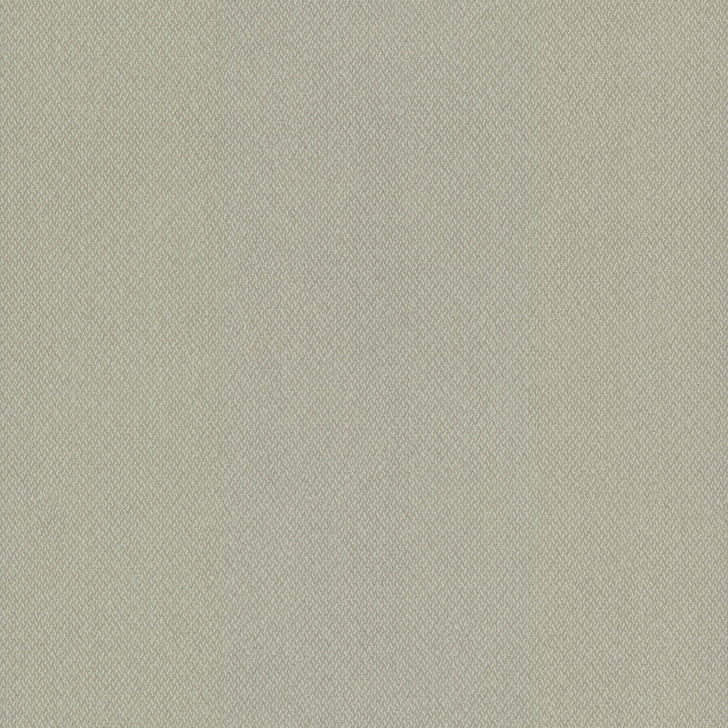 Samples and Purchasing available for Gravel Path - Flax Beige By Kravet Design | Performance Trim Indoor/Outdoor |  Trim Indoor / Outdoor at Designer Wallcoverings and Fabrics