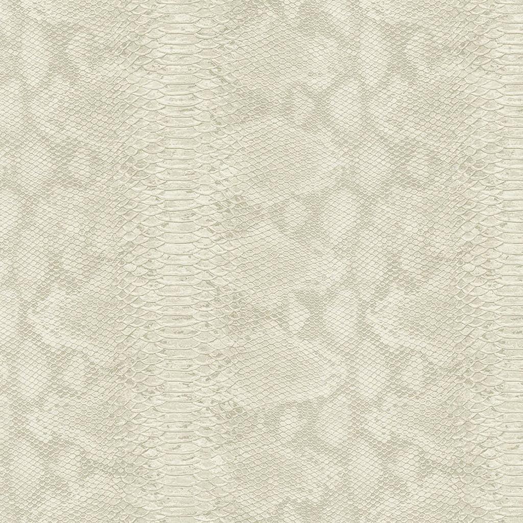 Samples and Purchasing available for Gravel Path - Flax Beige By Kravet Design | Performance Trim Indoor/Outdoor |  Trim Indoor / Outdoor at Designer Wallcoverings and Fabrics