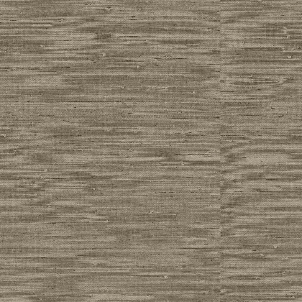 Samples and Purchasing available for Gravel Path - Flax Beige By Kravet Design | Performance Trim Indoor/Outdoor |  Trim Indoor / Outdoor at Designer Wallcoverings and Fabrics