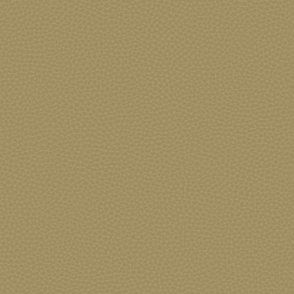 Samples and Purchasing available for Gravel Path - Flax Beige By Kravet Design | Performance Trim Indoor/Outdoor |  Trim Indoor / Outdoor at Designer Wallcoverings and Fabrics