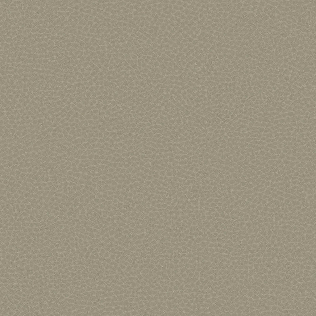 Samples and Purchasing available for Gravel Path - Flax Beige By Kravet Design | Performance Trim Indoor/Outdoor |  Trim Indoor / Outdoor at Designer Wallcoverings and Fabrics