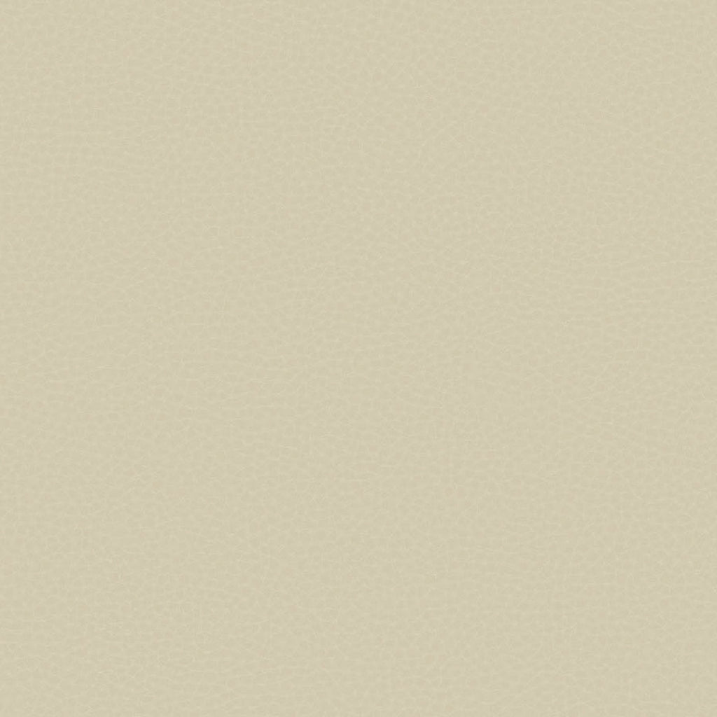 Samples and Purchasing available for Gravel Path - Flax Beige By Kravet Design | Performance Trim Indoor/Outdoor |  Trim Indoor / Outdoor at Designer Wallcoverings and Fabrics