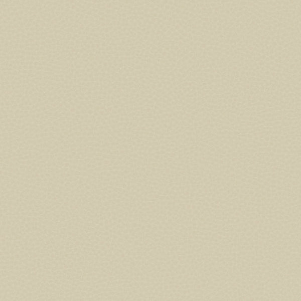 Samples and Purchasing available for Gravel Path - Flax Beige By Kravet Design | Performance Trim Indoor/Outdoor |  Trim Indoor / Outdoor at Designer Wallcoverings and Fabrics