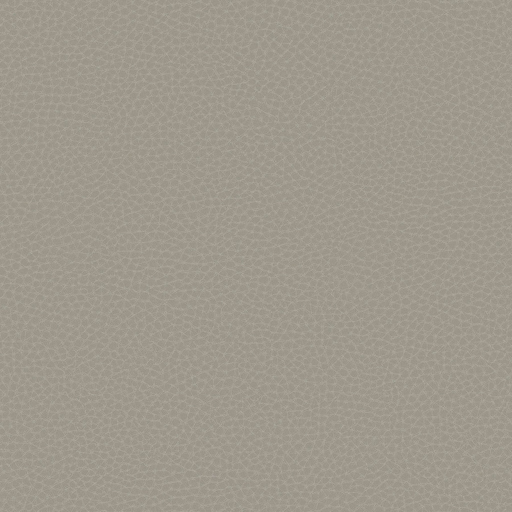 Samples and Purchasing available for Gravel Path - Flax Beige By Kravet Design | Performance Trim Indoor/Outdoor |  Trim Indoor / Outdoor at Designer Wallcoverings and Fabrics