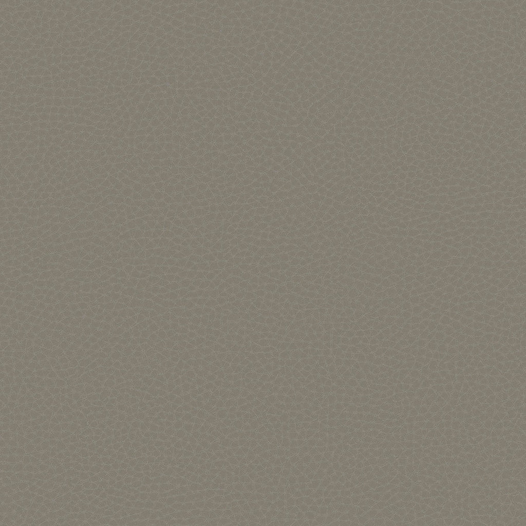 Samples and Purchasing available for Gravel Path - Flax Beige By Kravet Design | Performance Trim Indoor/Outdoor |  Trim Indoor / Outdoor at Designer Wallcoverings and Fabrics