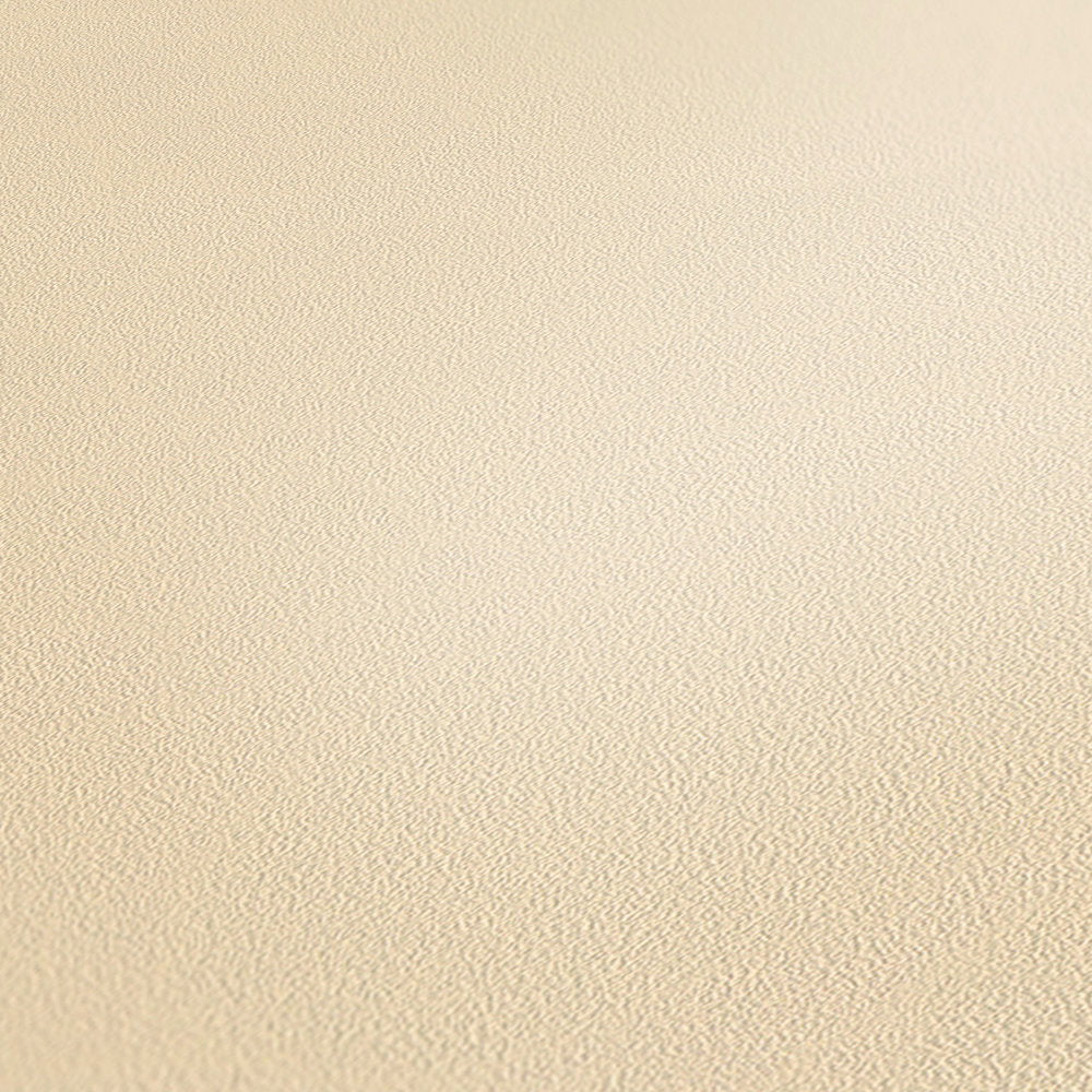 Ap Longlife Colours Beige Wallcovering | AS Creation