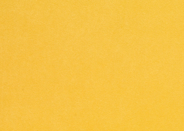 Pigment Fabric - Color 9 | Carnegie
