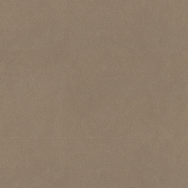 Hide Fabric - Color 12 | Carnegie