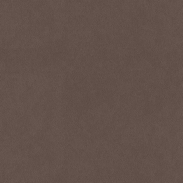 Hide Fabric - Color 13 | Carnegie