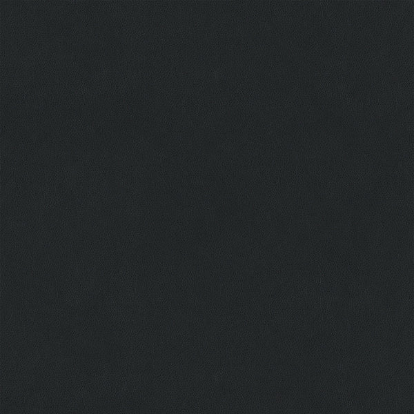 Hide Fabric - Color 18 | Carnegie