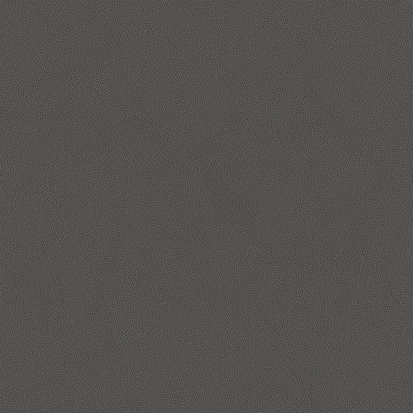 Hide Fabric - Color 19 | Carnegie