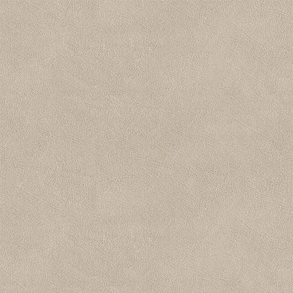 Buff Fabric - Color 40 | Carnegie