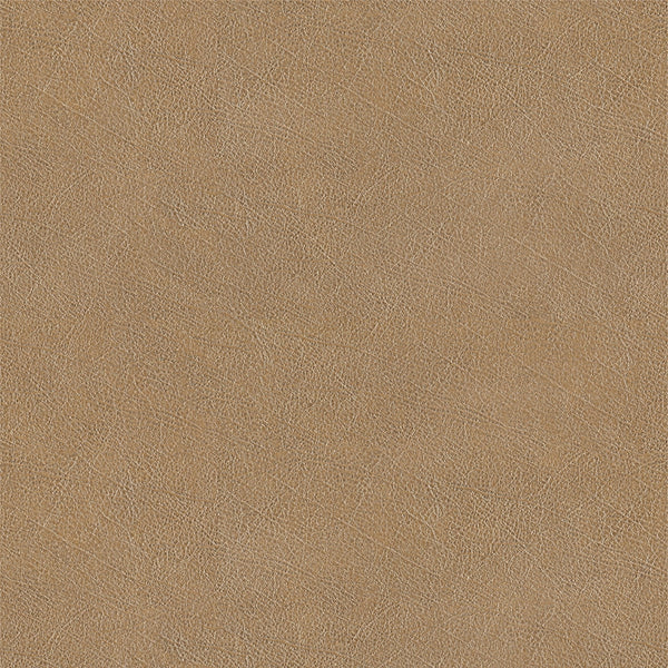 Buff Fabric - Color 41 | Carnegie