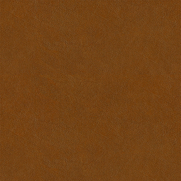 Buff Fabric - Color 42 | Carnegie