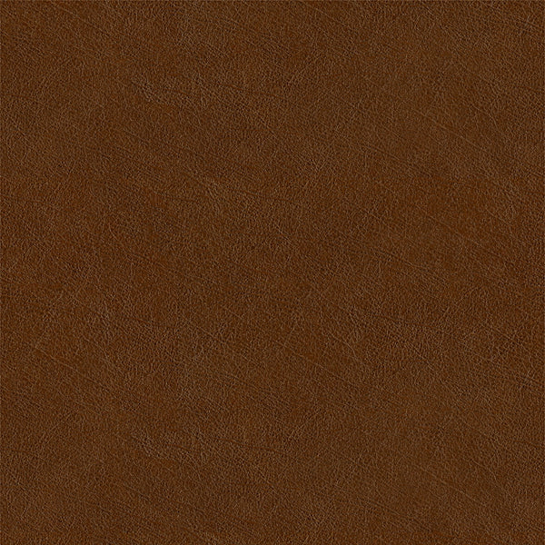 Buff Fabric - Color 43 | Carnegie