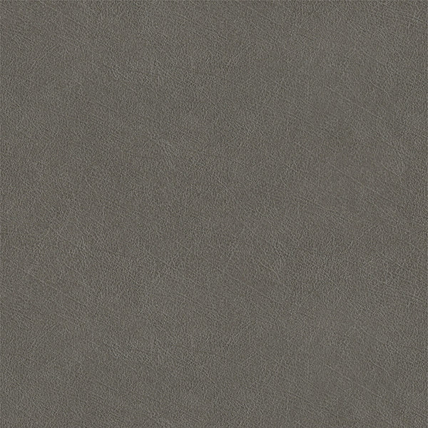 Buff Fabric - Color 48 | Carnegie