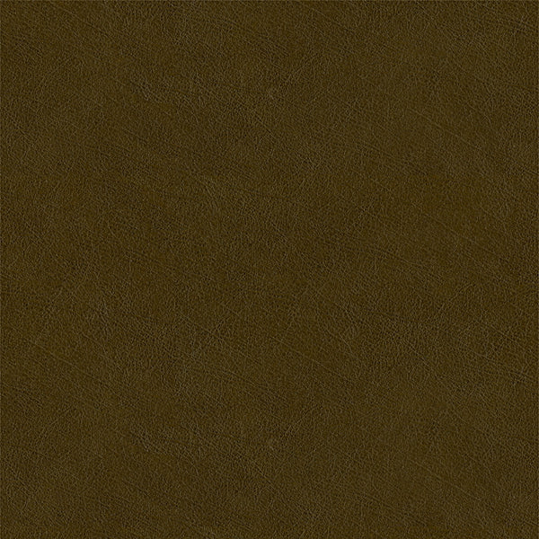 Buff Fabric - Color 49 | Carnegie