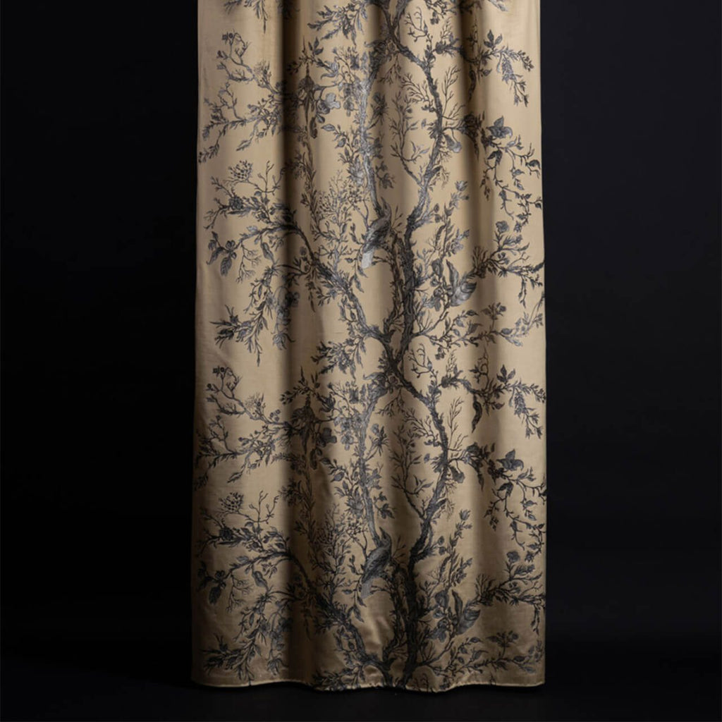 Golden Oriole Velvet Black & Gold on