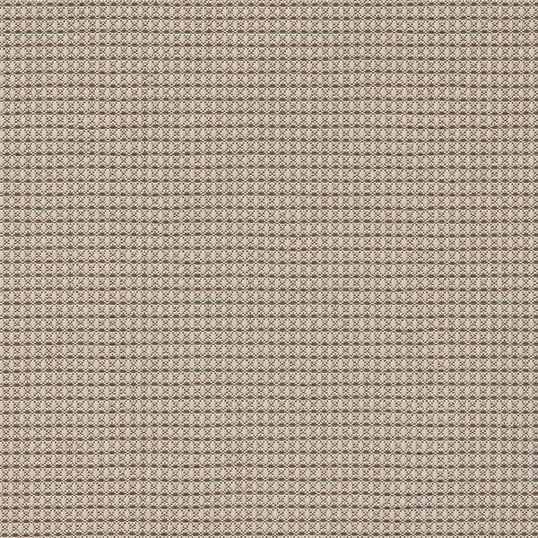 Xorel Mesh Fabric - Color 17 | Carnegie