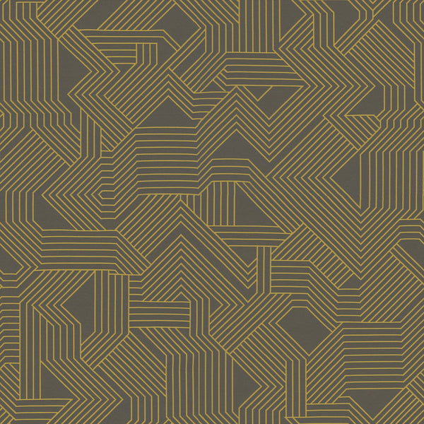 Maze Fabric - Color 32 | Carnegie
