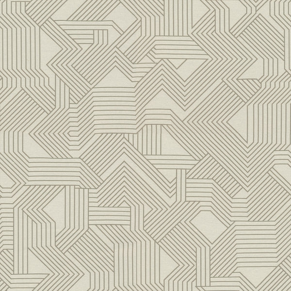 Maze Fabric - Color 34 | Carnegie