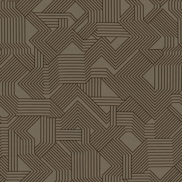 Maze Fabric - Color 40 | Carnegie