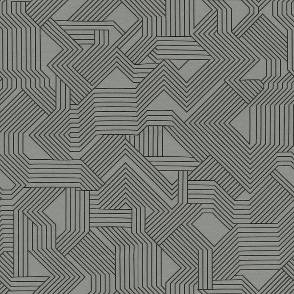 Maze Fabric - Color 41 | Carnegie