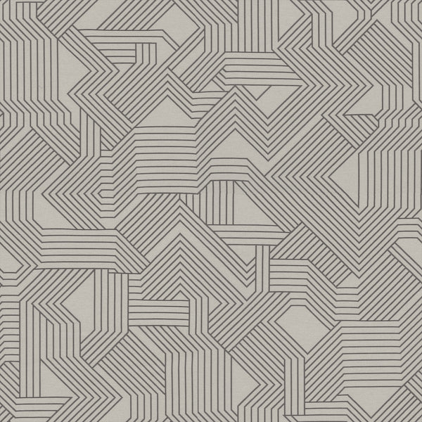 Carnegie Maze 43