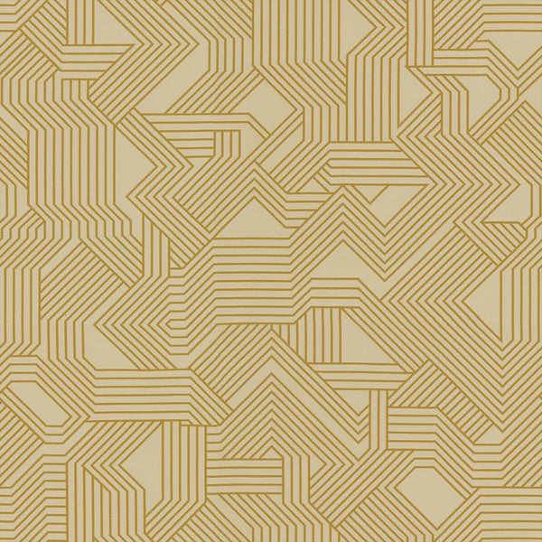 Carnegie Maze 45