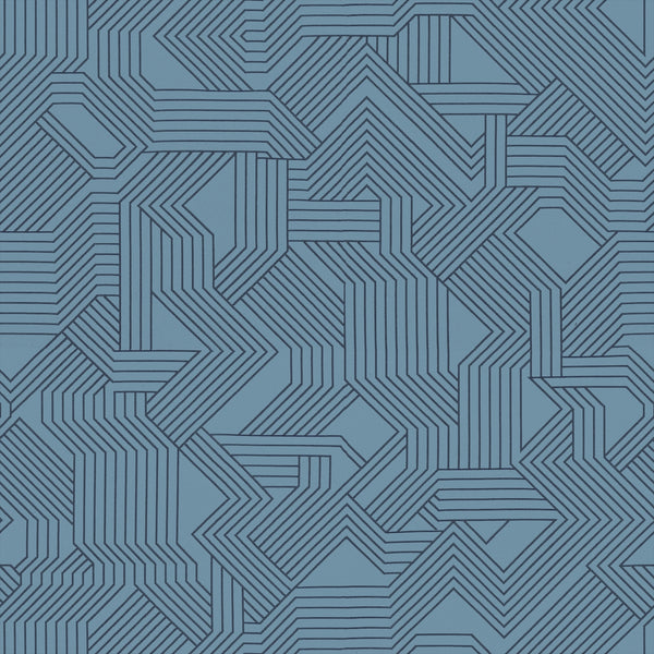 Maze Fabric - Color 49 | Carnegie