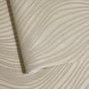 Corda Torrone