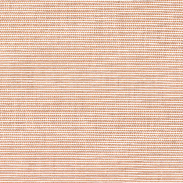 Xorel Flash Back Wallcovering - Color 40 | Carnegie