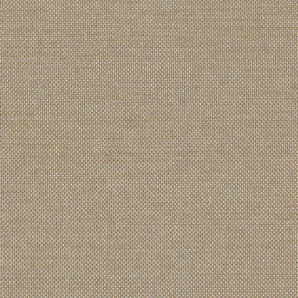 Luminescence, Fawn Wallcoverings | Designtex