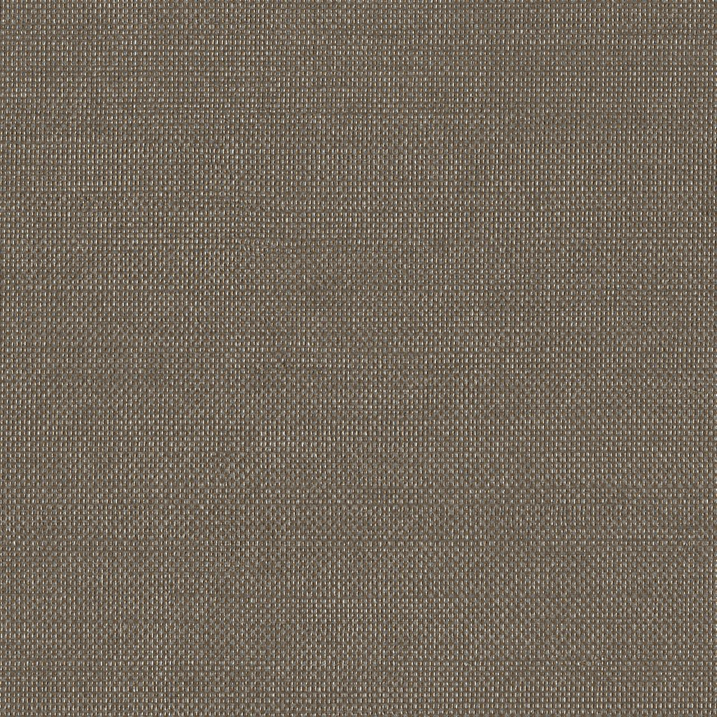 Luminescence, Cocoa