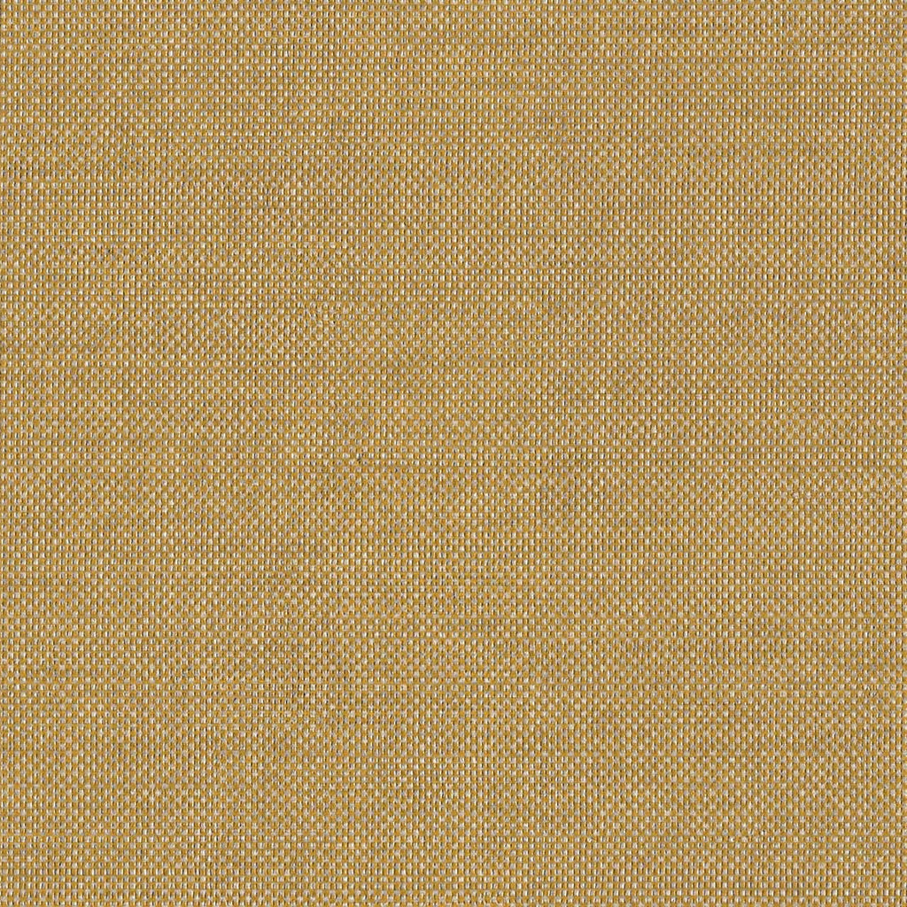 Luminescence, Rattan
