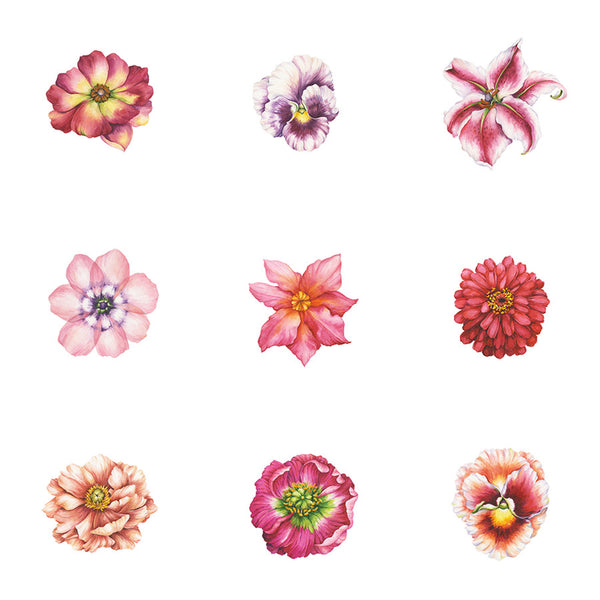 Wallflowers, White Wallcoverings | Designtex