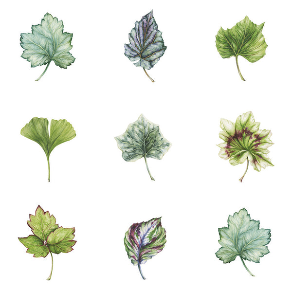 Leafery, White Wallcoverings | Designtex