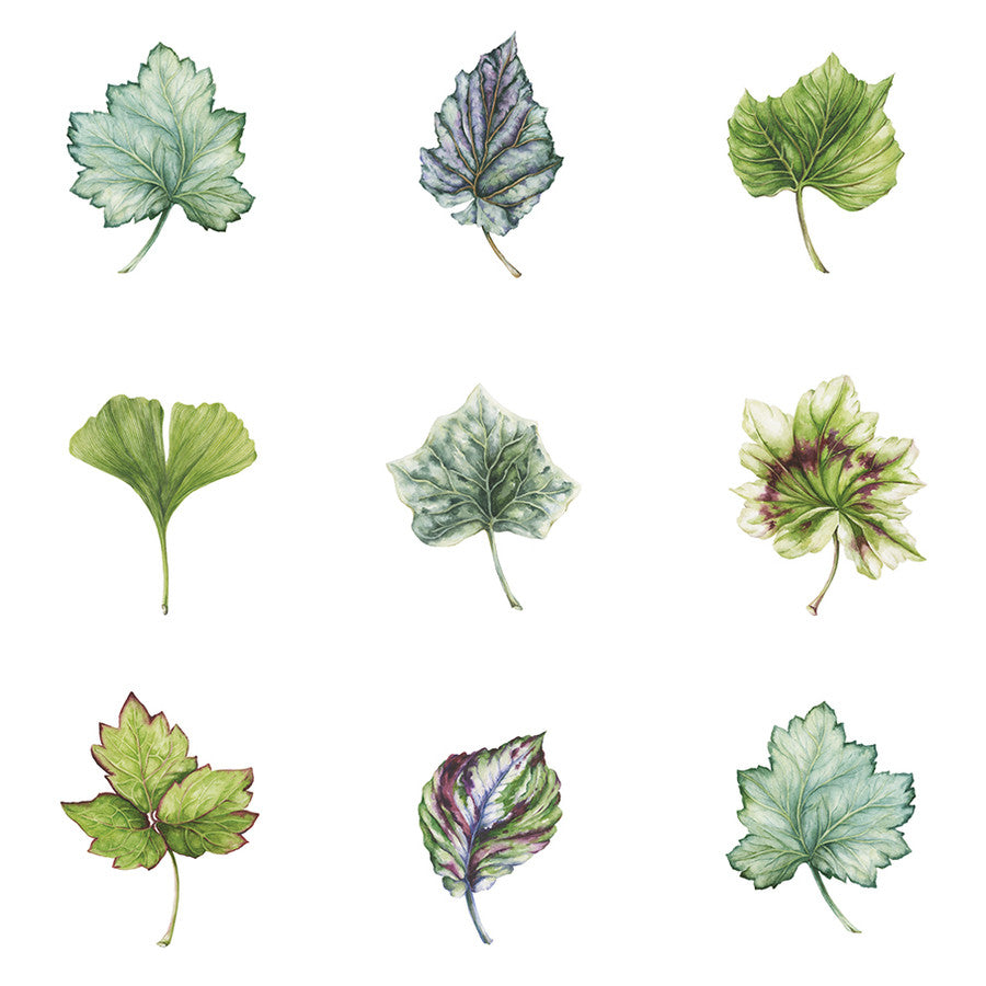 Leafery, White