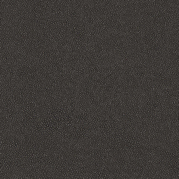 Tacit, Graphite Wallcoverings | Designtex