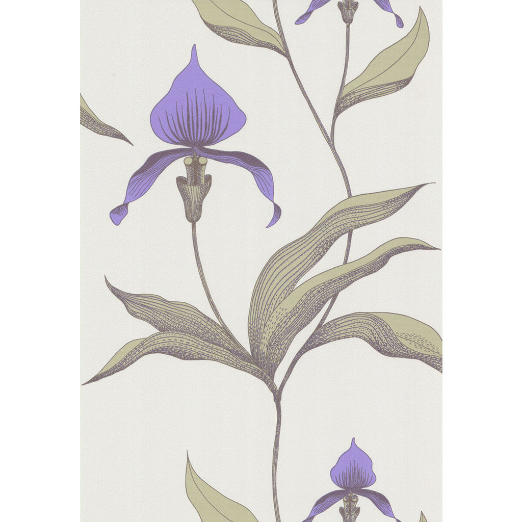Orchid - White/M White By Cole & Son | Cole & Son New Contemporary |Botanical & Floral  Wallcovering
