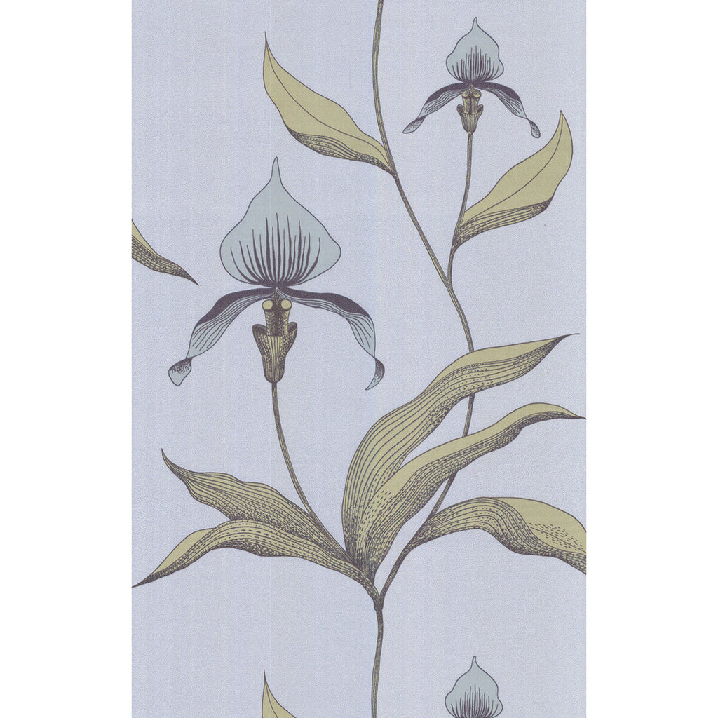 Orchid - Blue Gr Blue By Cole & Son | Cole & Son New Contemporary |Botanical & Floral  Wallcovering