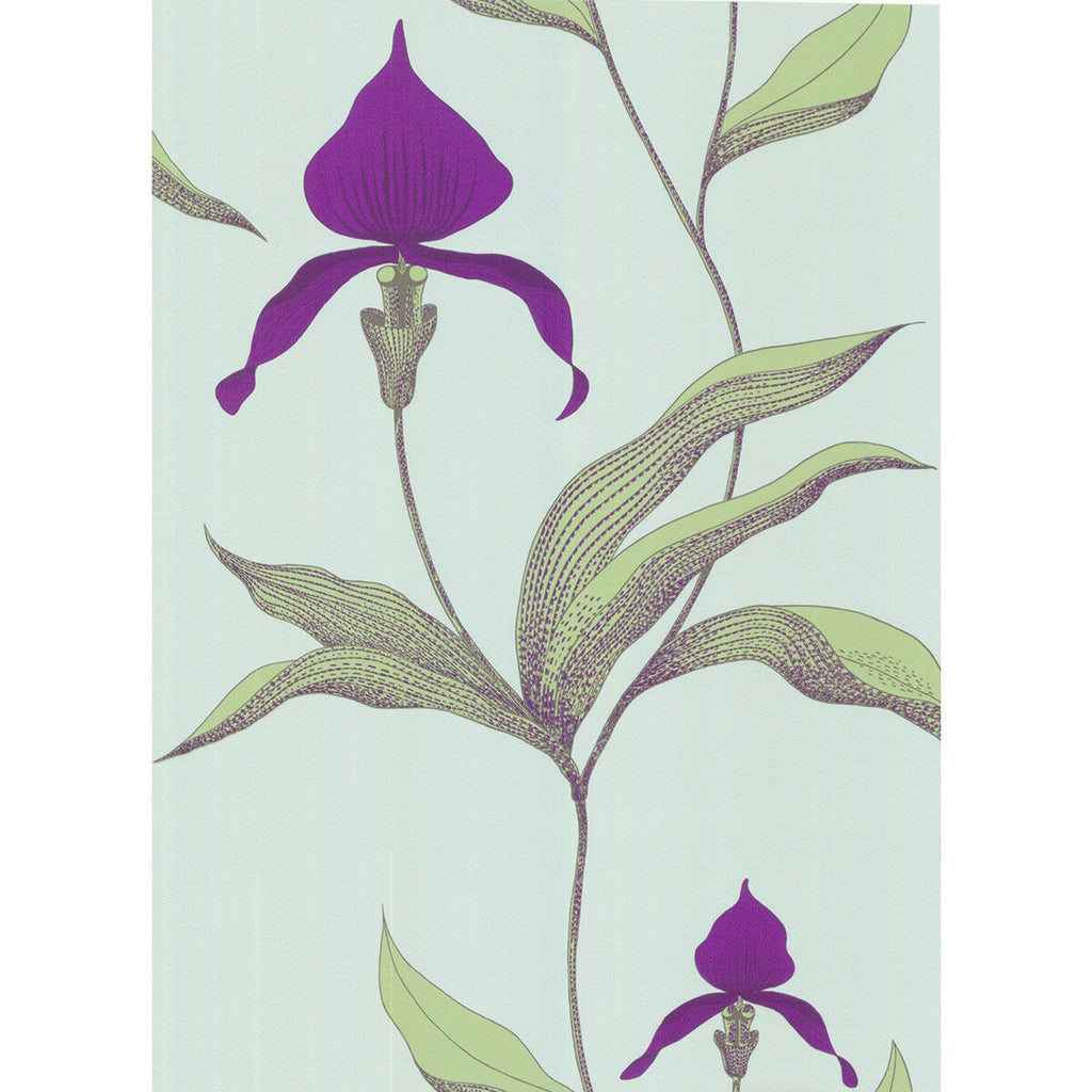 Orchid - Turquoi Light Blue By Cole & Son | Cole & Son New Contemporary |Botanical & Floral  Wallcovering