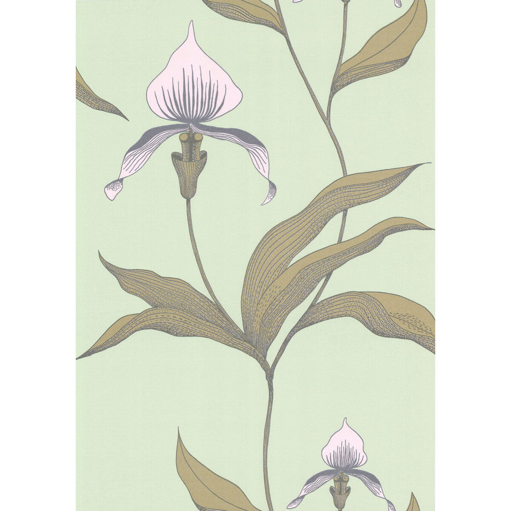 Orchid - Pale Gr Light Green By Cole & Son | Cole & Son New Contemporary |Botanical & Floral  Wallcovering