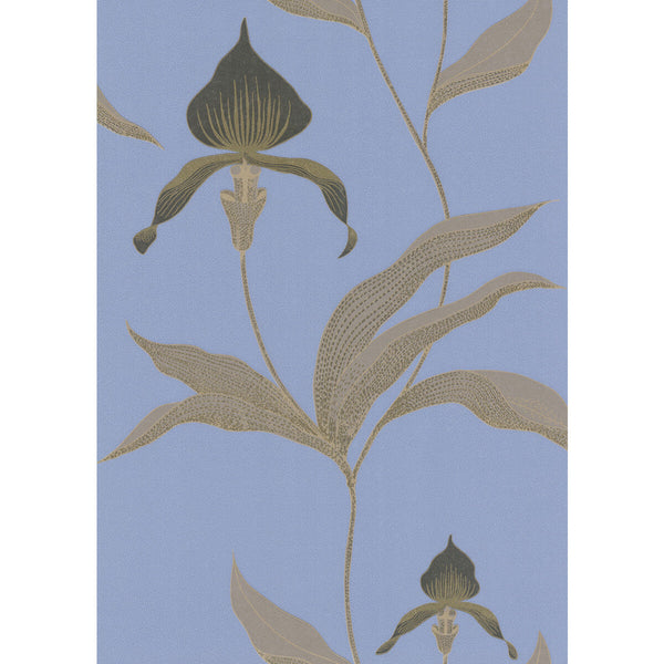Orchid - Blue/Bl Blue By Cole & Son | Cole & Son New Contemporary |Botanical & Floral  Wallcovering